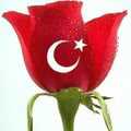 TURKEY RISING GLOBAL POWER Size matters Wednesday, July 22, 2009 SONER CAGATAY There are three categories of countries in international politics: global powers that can afford to do nearly everything they want; small and...