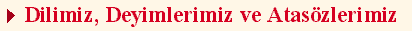 Dilimiz, Deyimlerimiz ve Atas�zlerimiz