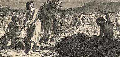 Turkish farmers ‘fathered the Irish’