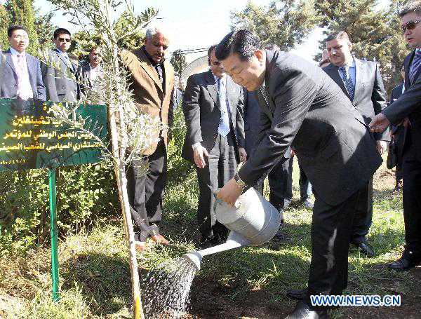 Top Chinese political advisor pledges support to Syria, Arab nations