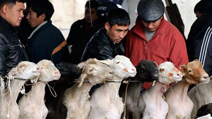 Muslim Holiday Eid al-Adha Begins With Sacrificial Lambs