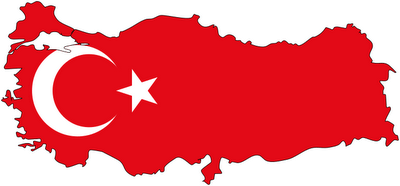 Turkish PM to raise Uighur mass killing in G8 summit