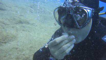 Scuba diving eating1