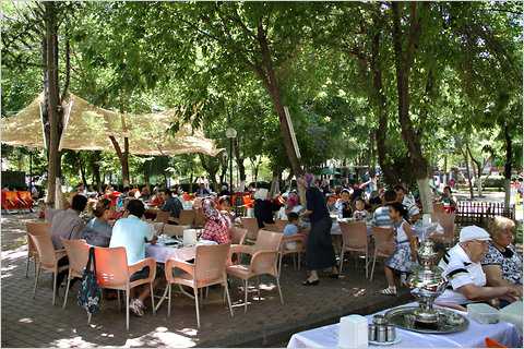 Into Pistachio Country, in Southeastern Turkey