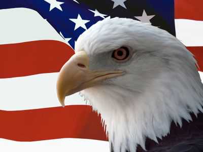 The “Deep State” Behind U.S. Democracy