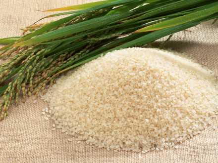 Turkey’s Rice Imports May Be 150,000 Tons in 2011-12, Union Says
