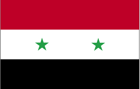 sy-lgflag