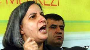 Pro-Kurdish politician Gultan Kisanak has said the measure does not go far enough