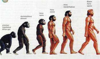 Turkish state science council denies ‘evolution censor’