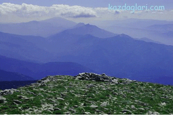 In a Turkish forest, resistance grows to a Canadian company’s gold-mining project