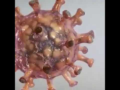 CORONO VIRUS WHAT IS IT .. DR PETER LIN – BY  PETER ZANDER