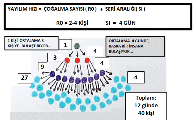 Coronavirus Briefing