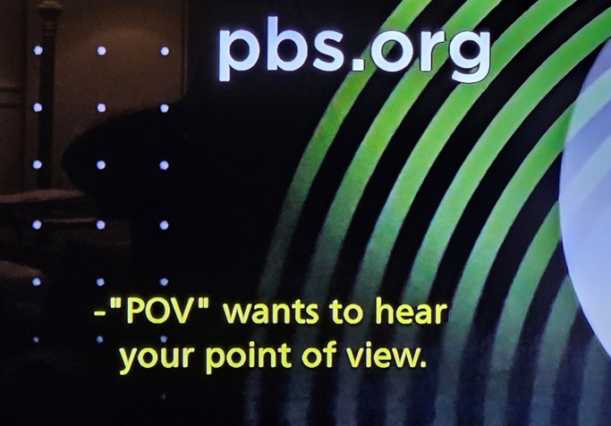 pbs point of view