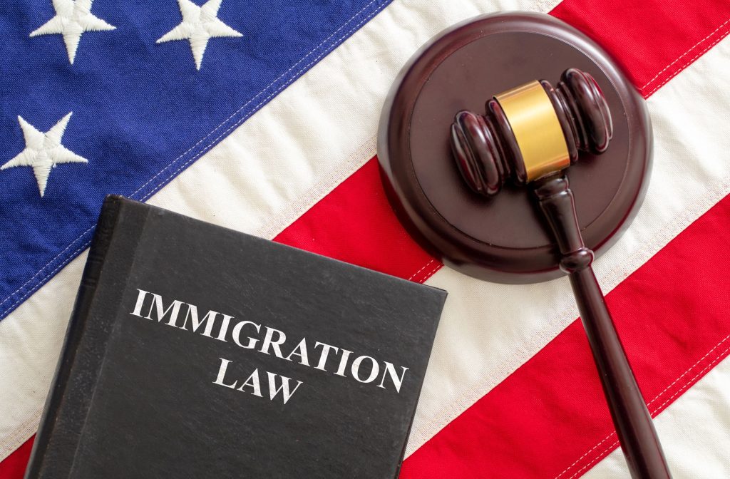 Are You from Turkiye ? Do You Really Need an Immigration Lawyer in USA ?