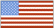 Flag Of USA