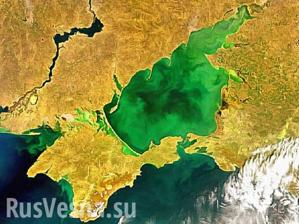 В Совфеде ответили на призыв Британии прекратить «задержания» в Азовском море