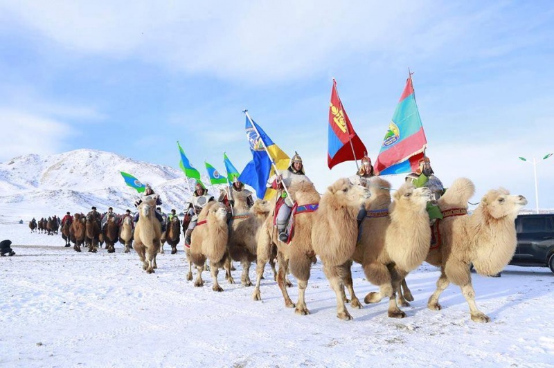 В Монголии состоялся фестиваль верблюдов