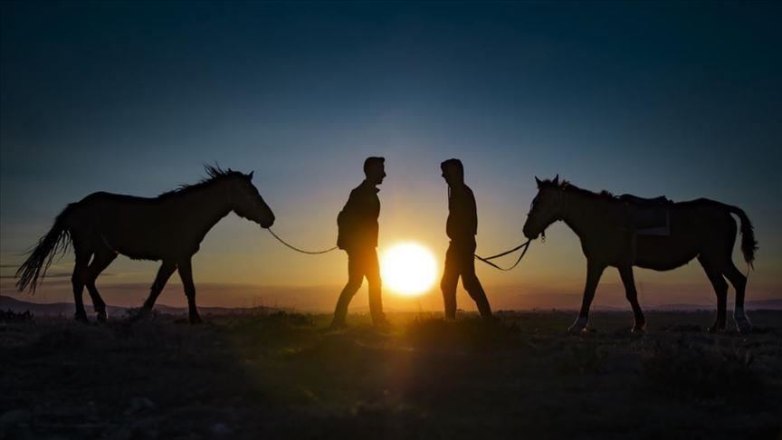 Любовь к лошадям у крымских татар в крови