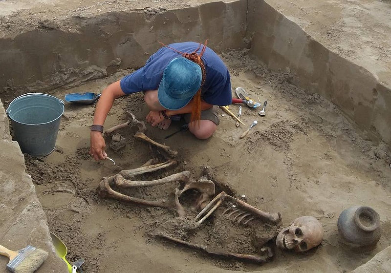 Археологи в Туве нашли захоронение хунну с поясом из раковин каури и серьгами из коралла