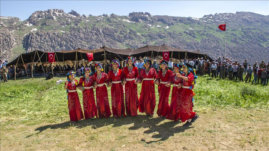 На юго-востоке Турции прошел фестиваль «Стрижки овец»
