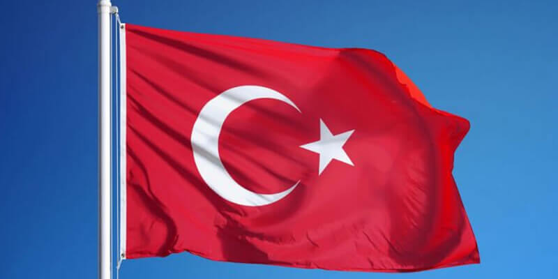 Как далеко будет позволено Турции зайти в ее экспансии на Кавказе? — А.Арешев