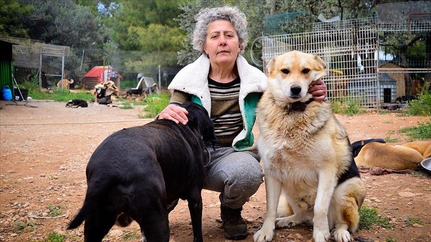 Пианистка из Азербайджана заботится о 200 бездомных животных в Турции