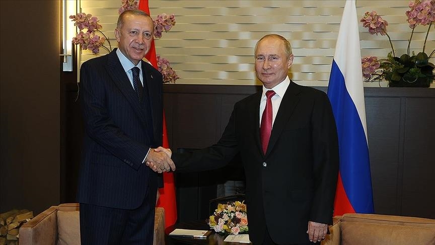 Стабильность в регионе отвечает интересам Турции и России