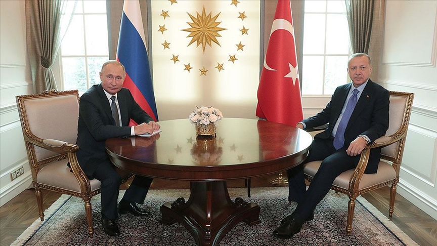Эрдоган в беседе с Путиным заявил о готовности к организации саммита по Украине