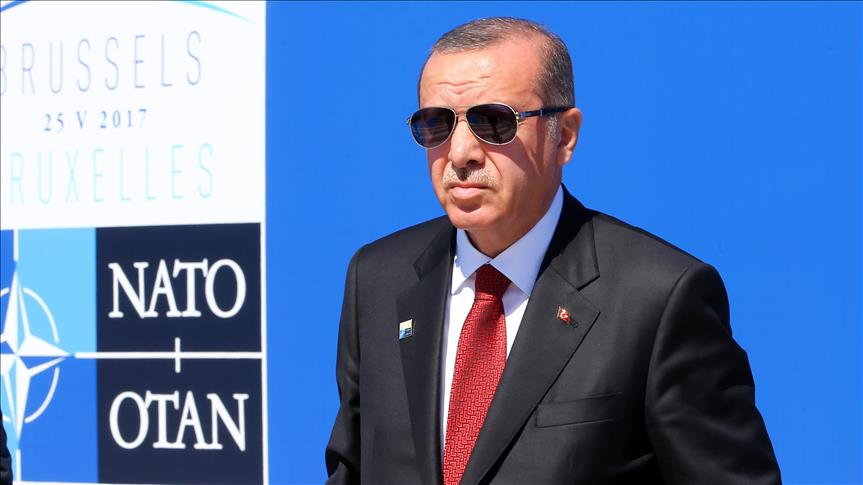 Турция не так просто мешает расширению НАТО — Project Syndicate