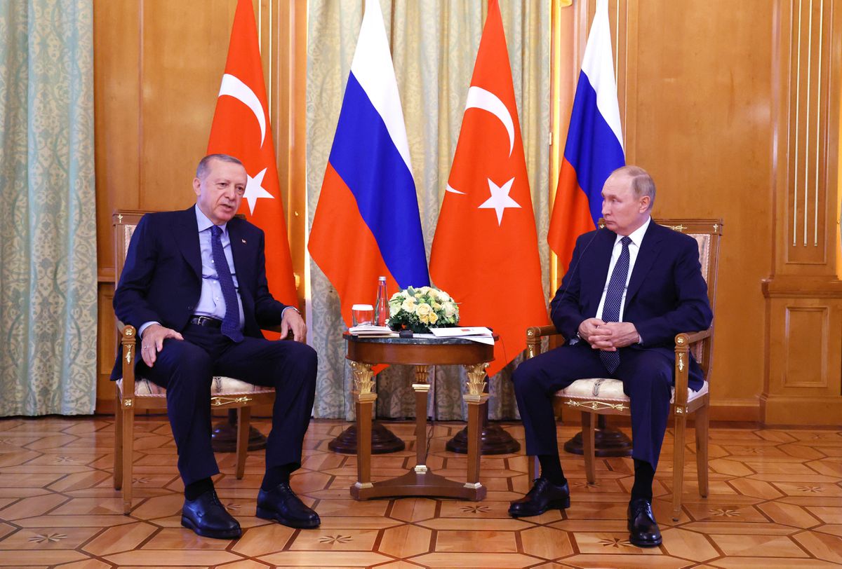 Эрдоган подтвердил, что договорился с Путиным создать в Турции газовый хаб
