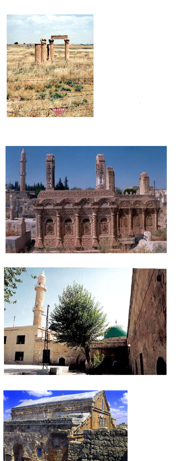 Mayınlı Arazide Yeşeren Tarihi Hesaplaşma, Kültürel Miras ve Karar