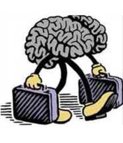 Tersine Beyin Göçünde ”Ekonomik Kriz” Fırsat Yaratıyor