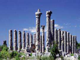 1400 yıllık Soloi Pompeiopolis'i defineciler delik-deşik etti, sonra kaçak yapıcılar sardı. Şimdi Antik kentin göbeğine bir de fidanlık oluşturuluyor. - 44230
