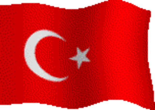 Genç Türkler (Young Turks) Derneği, yayınladığı bir mesajla Türk Amerikan toplumunu “8. Ermeni Yalanlarına Son ve Şehit Diplomatlarımızı Anma Mitingi”ne davet etti. - bayrak 1