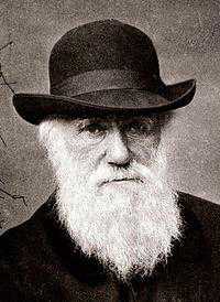 Darwin’i ilah mı yapalım nefret mi edelim?