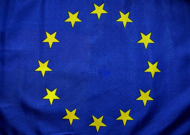 Avrupa Birliği Üyelik Sürecinde Egemenlik Devri ve Yeni Anayasa