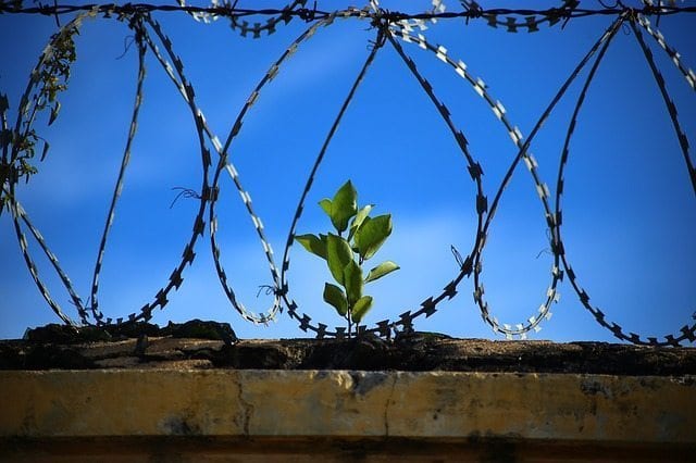 Türkiye’deki cezaevlerinin kapasitesi neden doluyor?