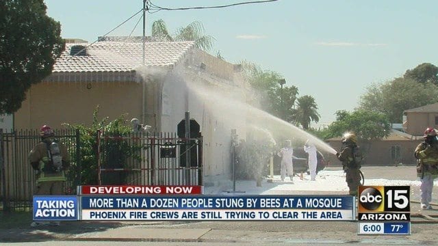 Olay cuma öğleden sonra 32. cadde ve McDowell Road yakınlarındaki Müslüman Toplululuk Camii'nde meydana geldi.  - More than a dozen people stung by bees a 0 35329225 ver1.0 640 480