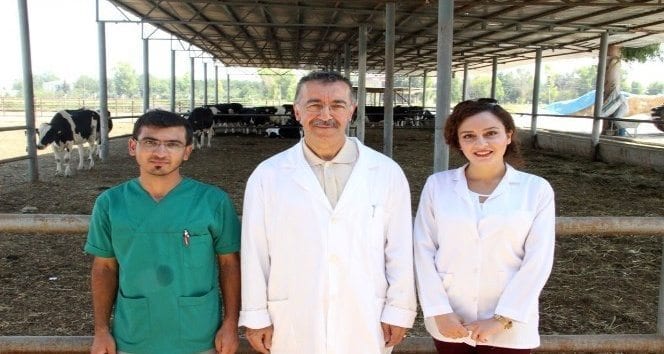 Türk bilim adamları Kurban Bayramında kesilen hayvanın acı çekip çekmediğini araştırdı