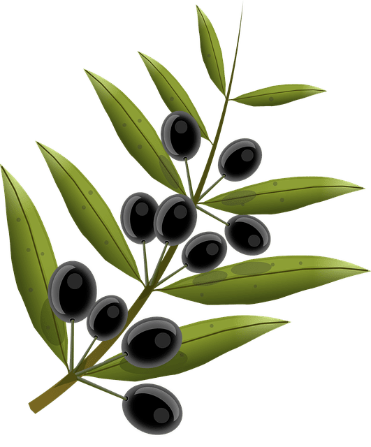 NECDET BULUZ - olives zeytin dal