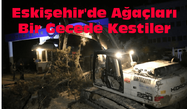 Eskişehir’de Şehir Hastanesi ulaşımı için ağaçları bir gecede kestiler