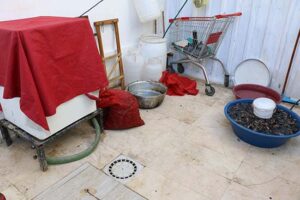 Antalya Büyükşehir Belediyesi Zabıtası, Kepez ilçesinde merdiven altı diye tabir edilen kötü koşullarda midye üretimi yapan adreslere operasyon düzenledi. Sağlıksız olduğu tespit edilen 500 kilogram midyeye el konuldu. - 1 4