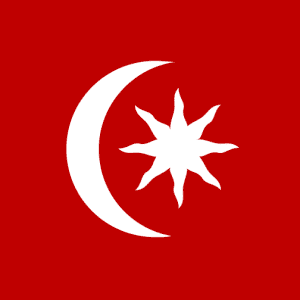 Constantinople İstanbul Bayrağı
