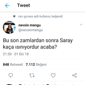 Gazeteci Nevşin Mengü twitter hesabından yaptığı paylaşımda, doğalgaza gelen zamların ardından, Saray'ın kaç paraya ısındığını sordu. - 20181002 085742