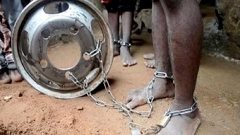 Hundreds of chained captives released from Nigerian school