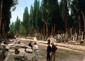 Mezarlığa giden yolda selvi ağaçları - istanbul 4