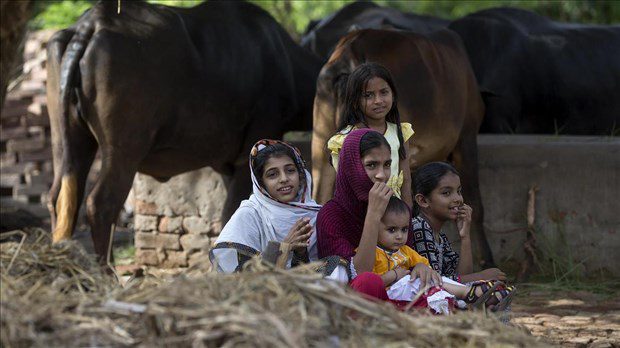 Pakistan'da 10 ayda 703 çocuk açlıktan hayatını kaybetti