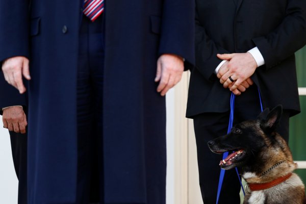 Trump'tan Bağdadi operasyonunda görevli köpeğe madalya