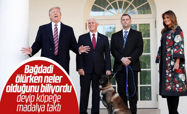 Trump’tan Bağdadi operasyonunda görevli köpeğe madalya