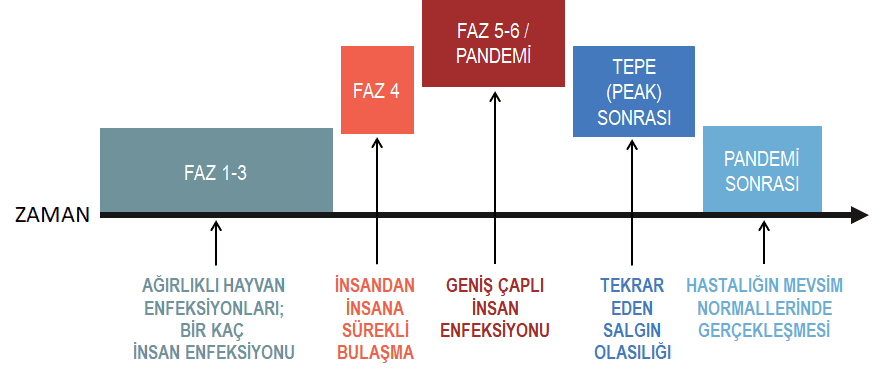 Türkiye’de COVID-19 salgını normalleşme süreci ve dalgalanmalar